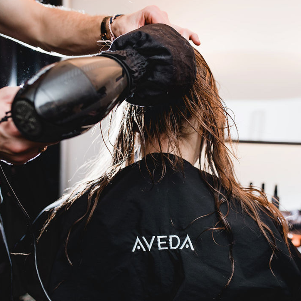 aveda blowdry